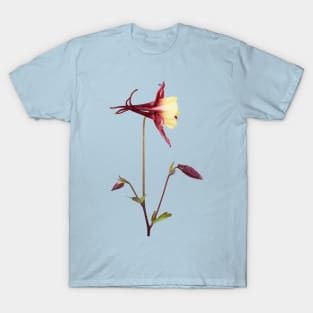 Aquilegia  &#39;Rose Queen&#39;  Columbine T-Shirt